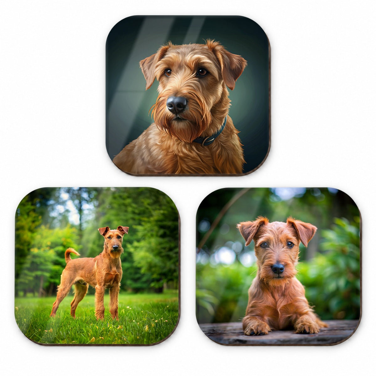 Irish Terrier Dog Photo Illustration Fridge Magnet Set