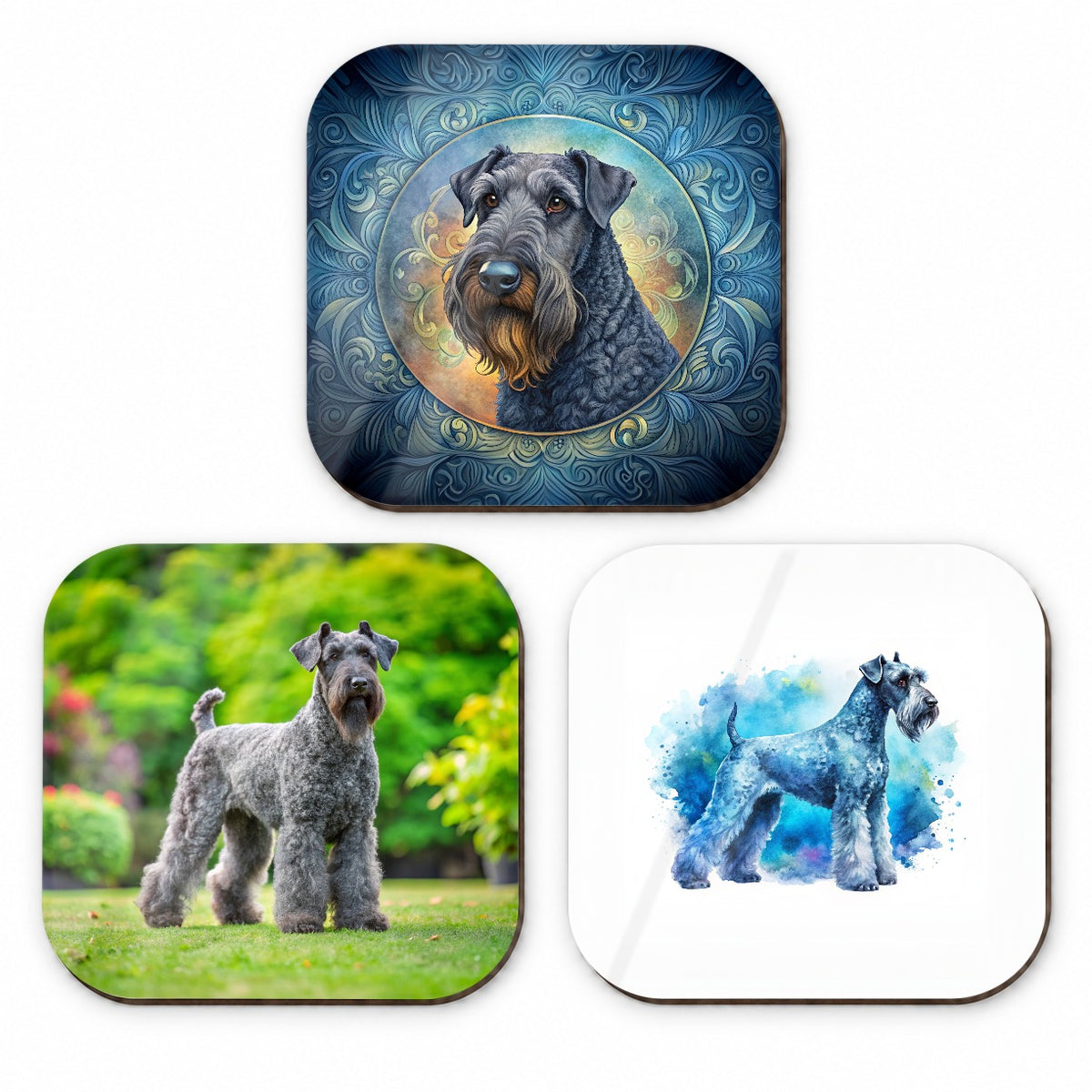 Kerry Blue Terrier Dog Modern Photo Art Fridge Magnet Set