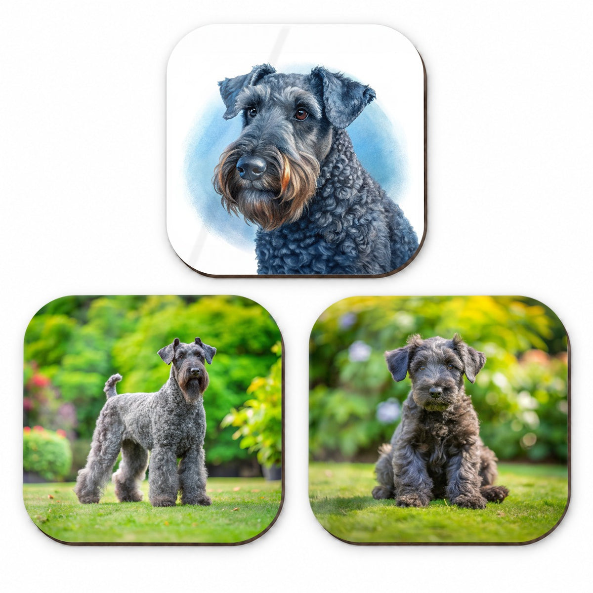 Kerry Blue Terrier Dog Photo Illustration Fridge Magnet Set