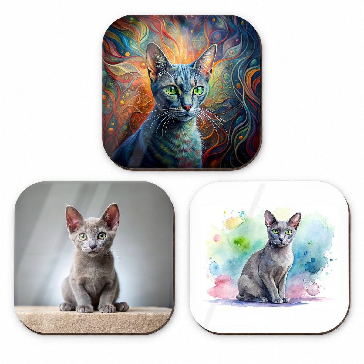 Korat Cat Modern Photo Art Fridge Magnet Set