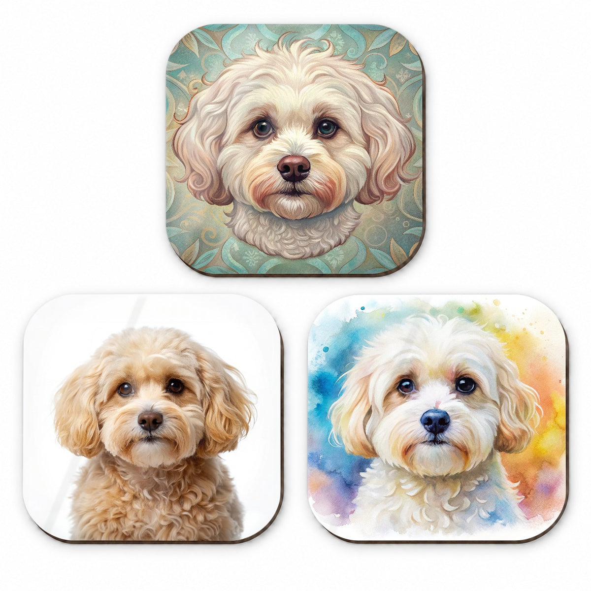Maltipoo Dog Modern Photo Art Fridge Magnet Set