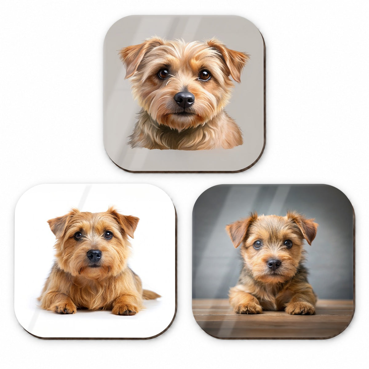 Norfolk Terrier Dog Photo Illustration Fridge Magnet Set