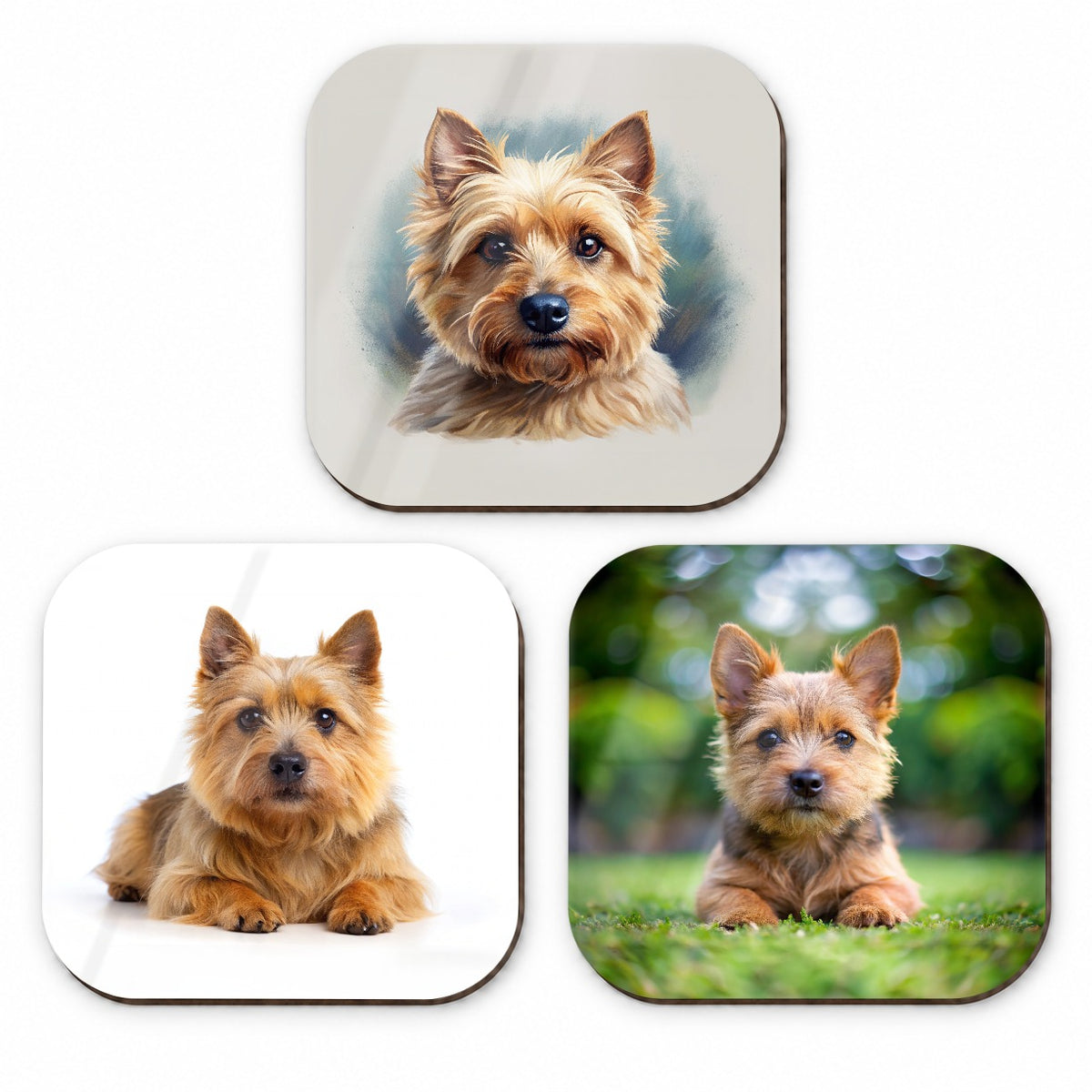 Norwich Terrier Dog Photo Illustration Fridge Magnet Set