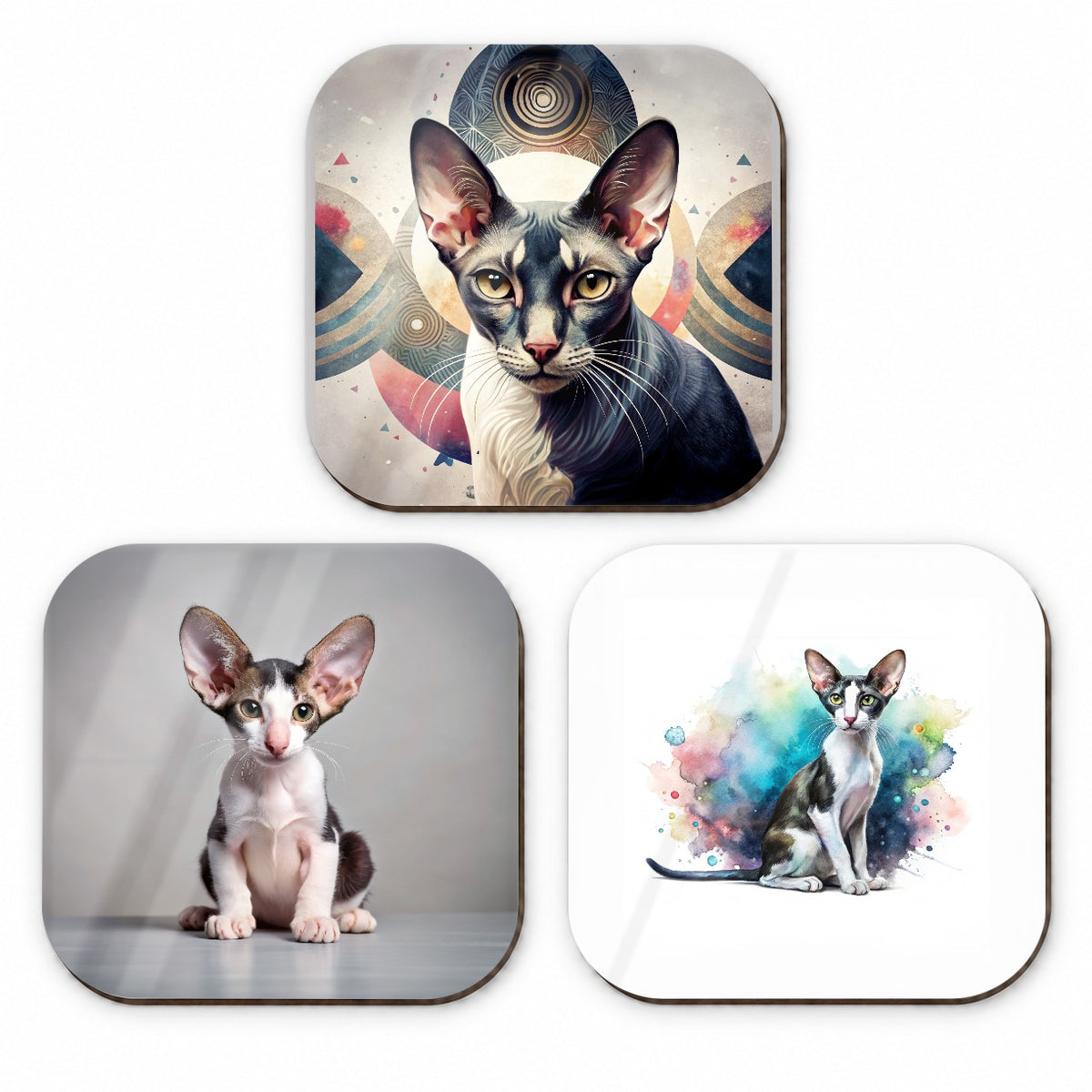 Oriental Shorthair Black White Cat Modern Photo Art Fridge Magnet Set