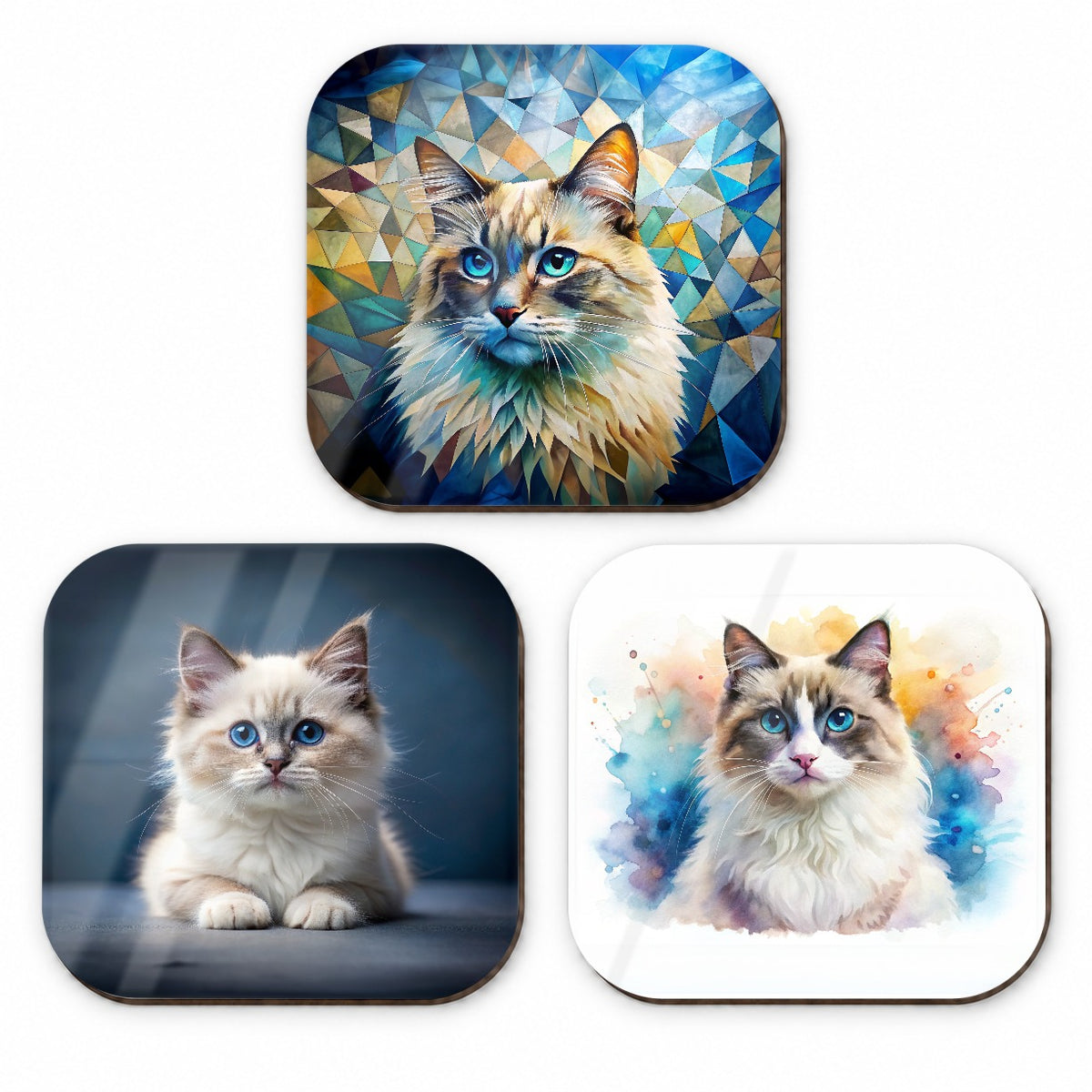 Ragdoll Cat Modern Photo Art Fridge Magnet Set