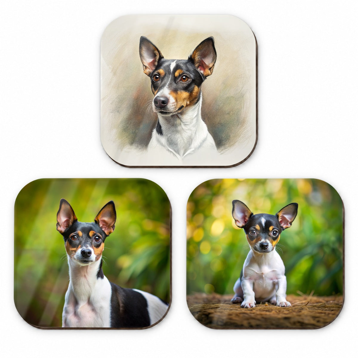 Rat Terrier Dog Photo Illustration Fridge Magnet Set