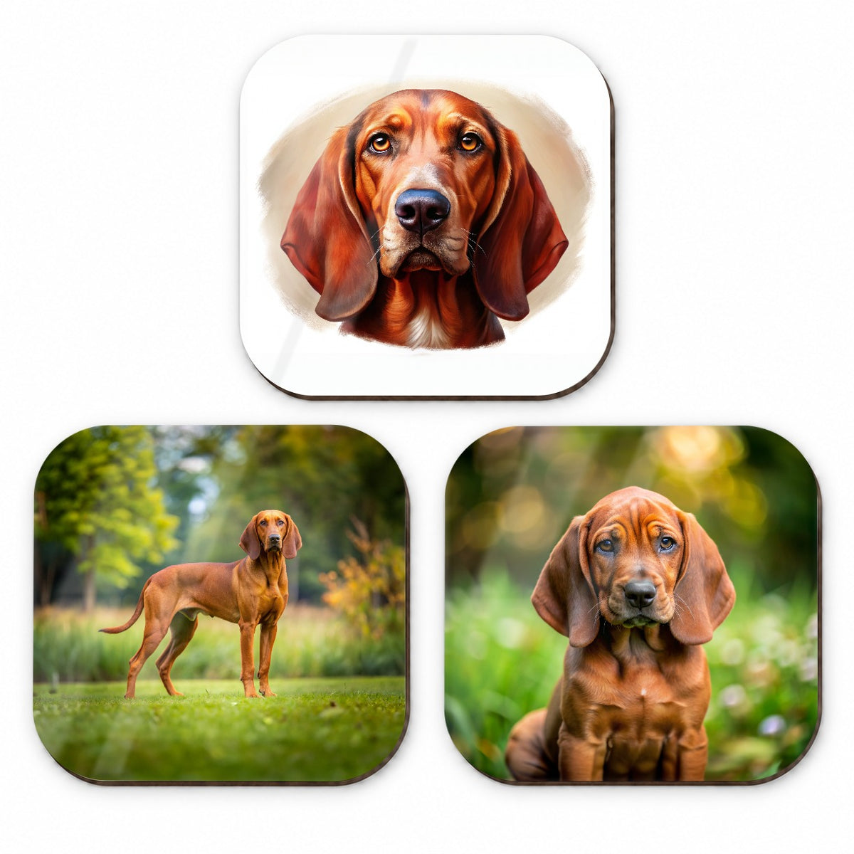 Redbone Coonhound Dog Photo Illustration Fridge Magnet Set
