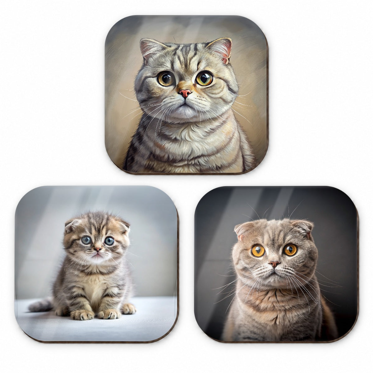 Scottish Fold Cat Photo Illustration Fridge Magnet Set