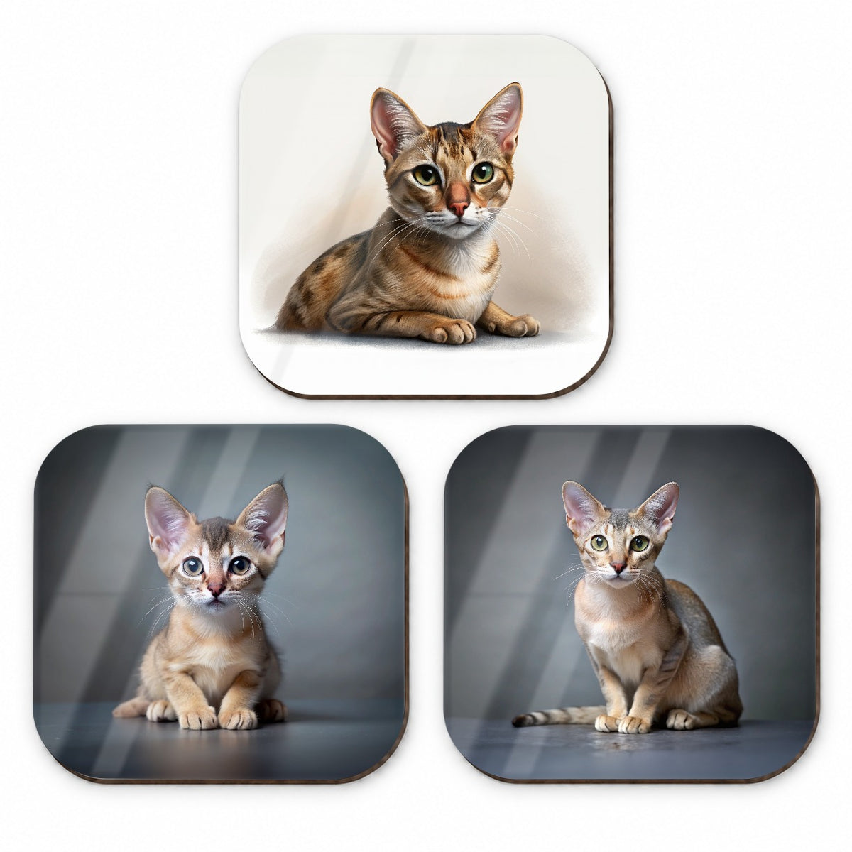 Singapura Cat Photo Illustration Fridge Magnet Set