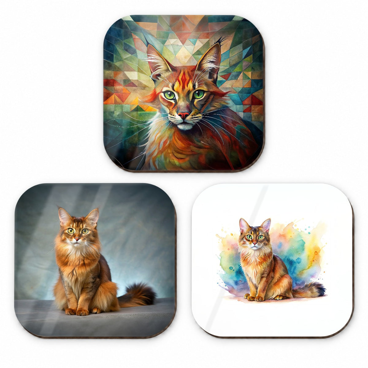 Somali Cat Modern Photo Art Fridge Magnet Set
