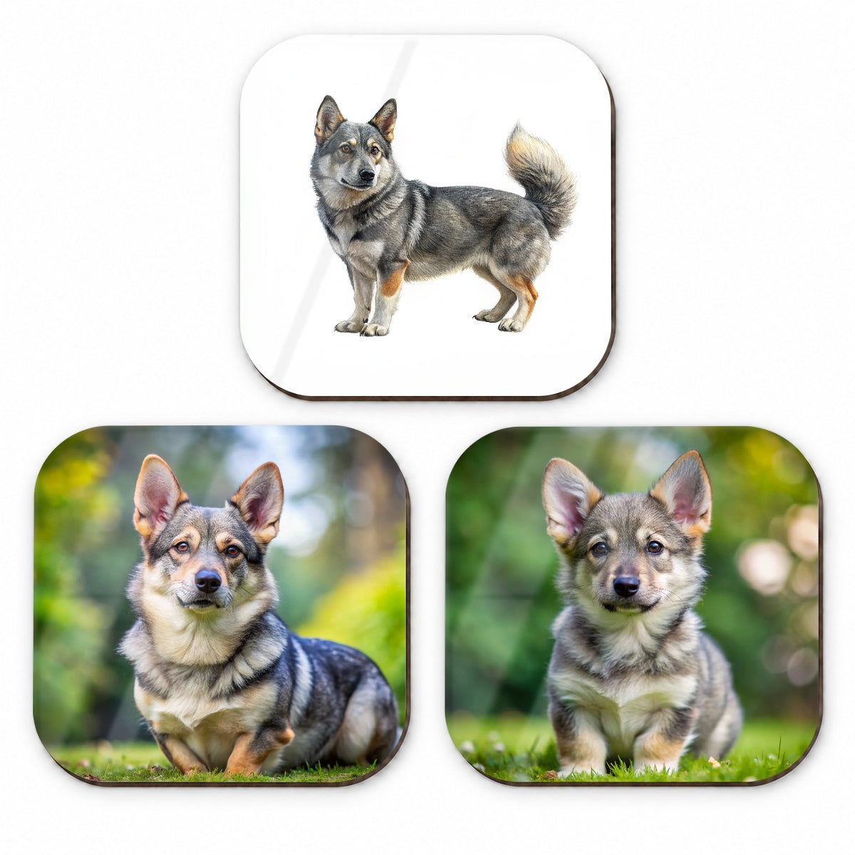 Swedish Vallhund Dog Photo Illustration Fridge Magnet Set