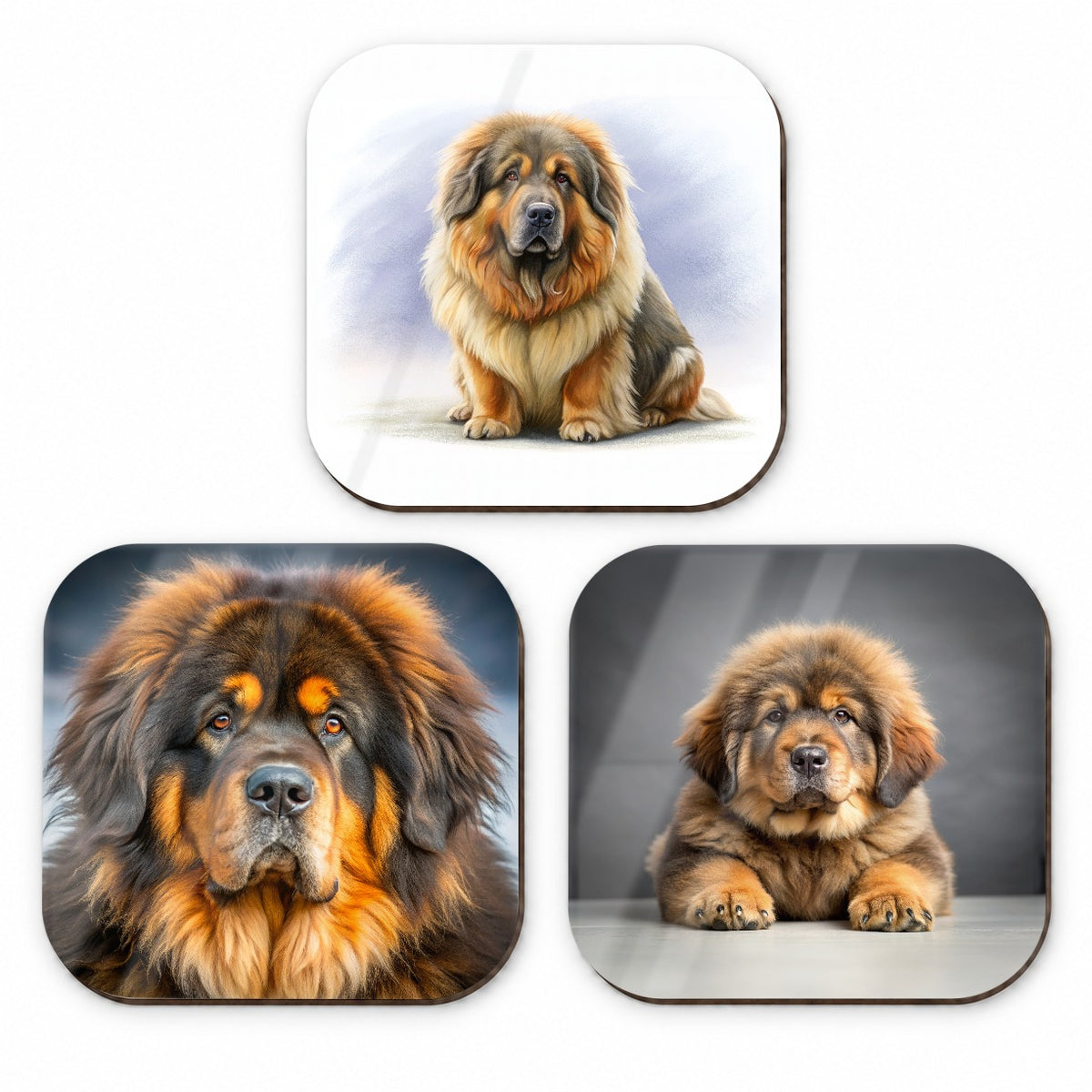 Tibetan Mastiff Dog Photo Illustration Fridge Magnet Set