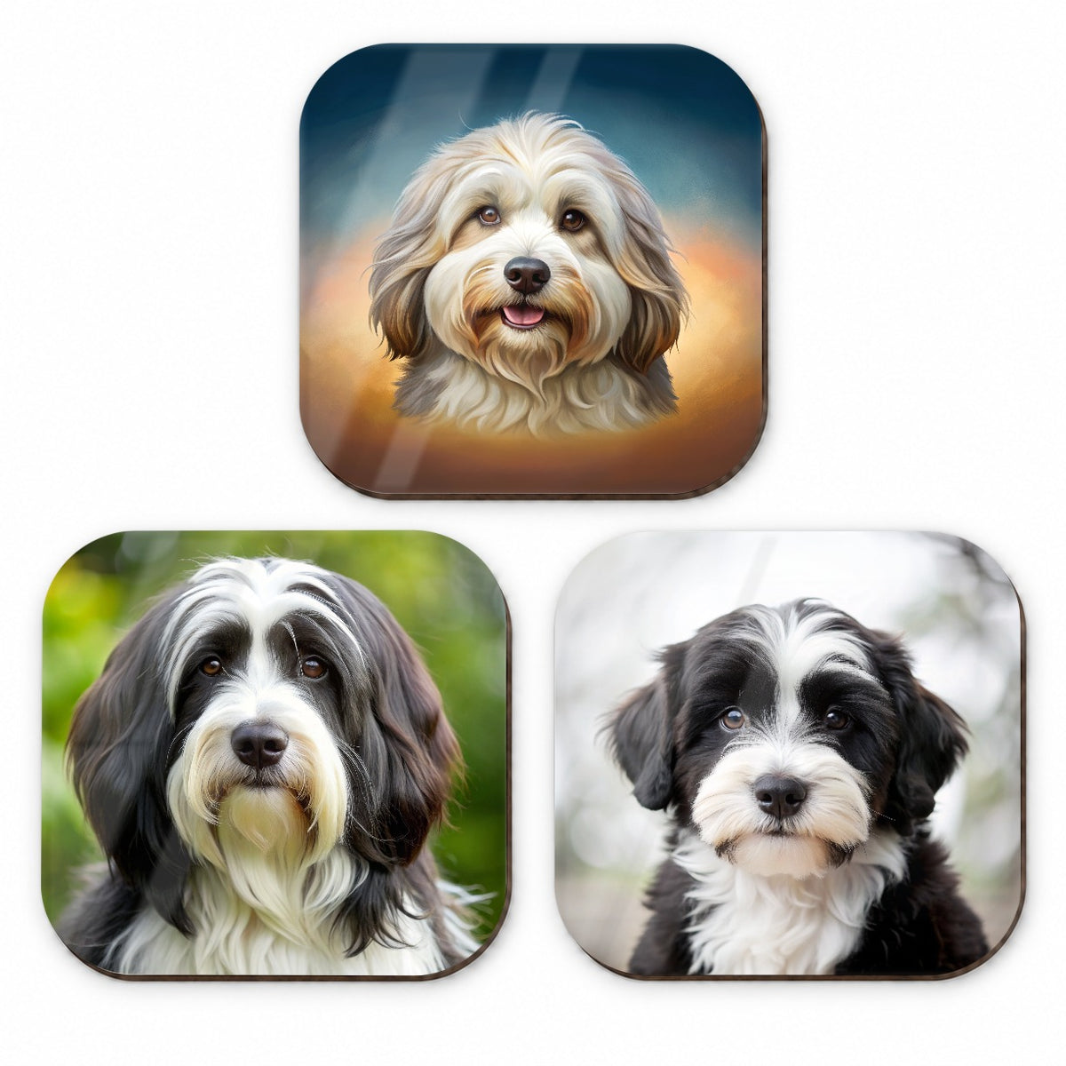 Tibetan Terrier Dog Photo Illustration Fridge Magnet Set