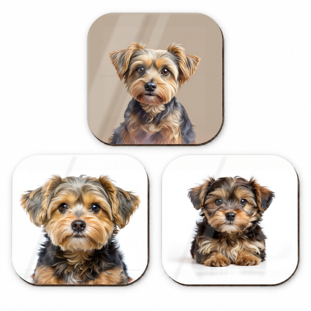 Yorkipoo Dog Photo Illustration Fridge Magnet Set