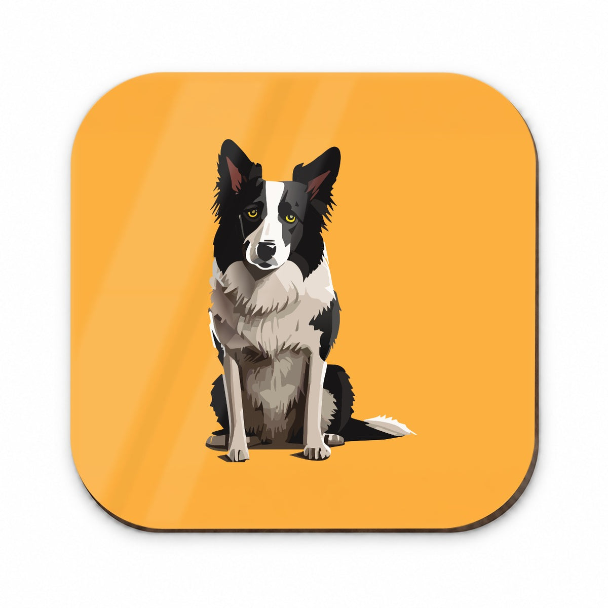 Border Collie Sitting Fridge Magnet