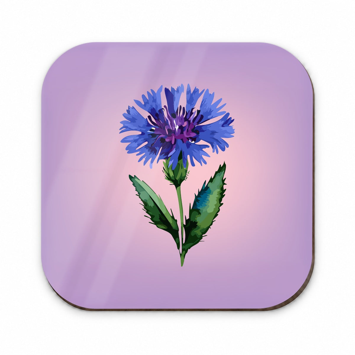 Cornflower Bachelors Buttons Flowers Blue Fridge Magnet