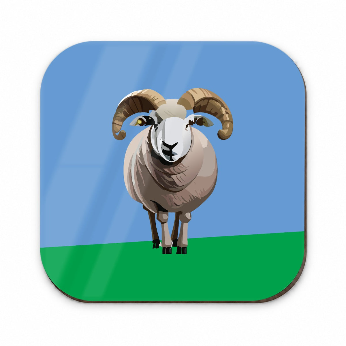 Dall Sheep Thinhorn Wild Staring Fridge Magnet
