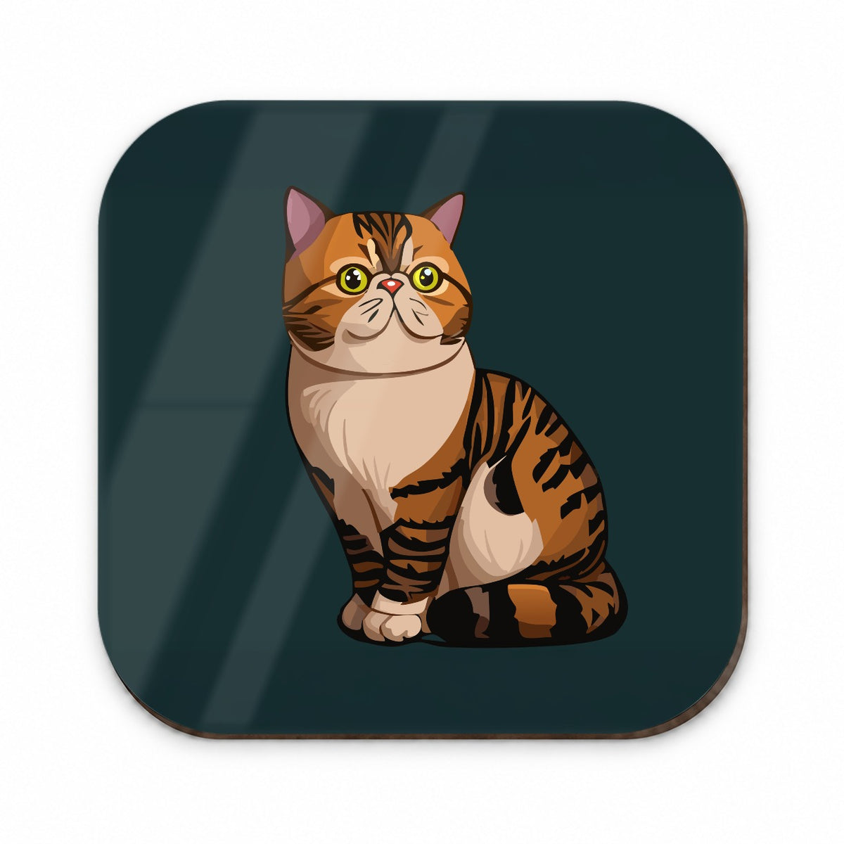 Exotic Shorthair Cat Sitting Fridge Magnet