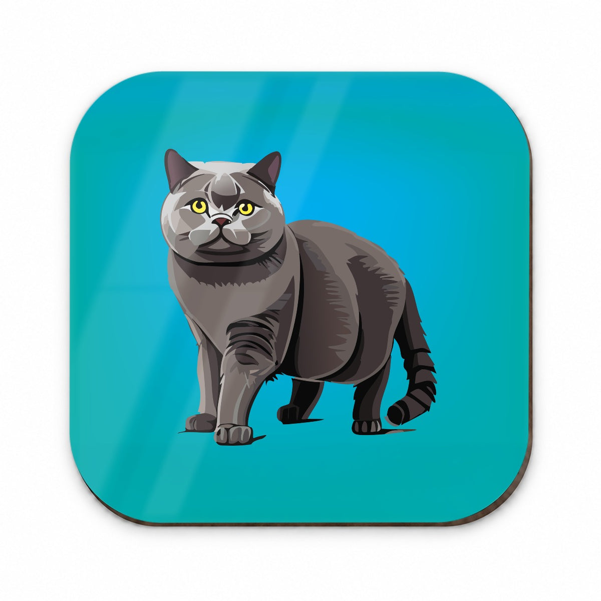 Gray British Shorthair Cat Fridge Magnet