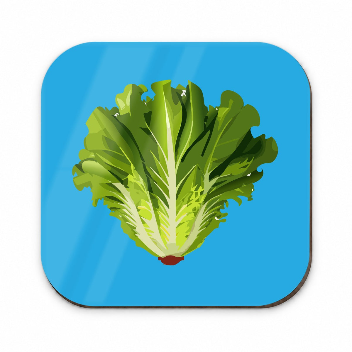 Lettuce Head Vegetable Fridge Magnet