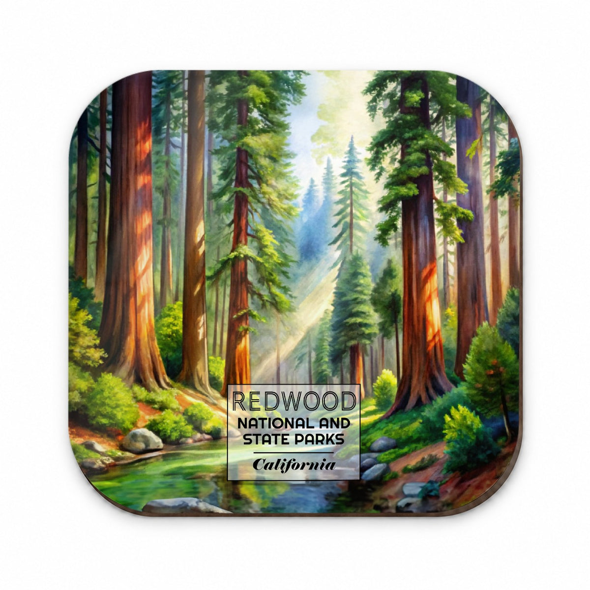 Redwood National Park California Watercolor Fridge Magnet