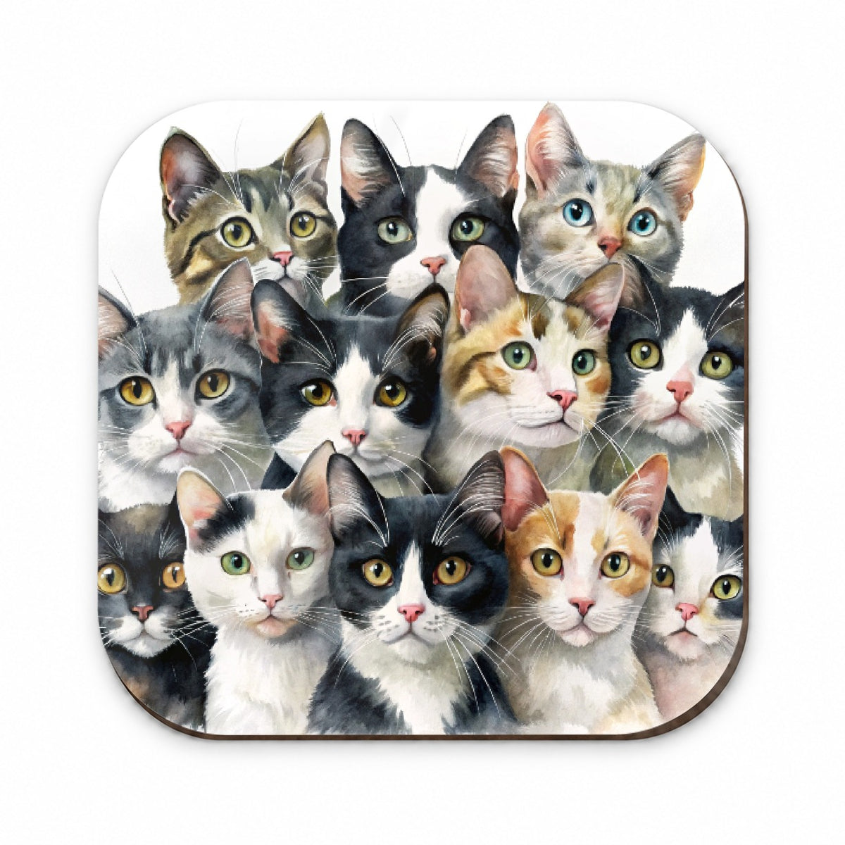 Bunch Of Sweet Cats Fridge Magnet