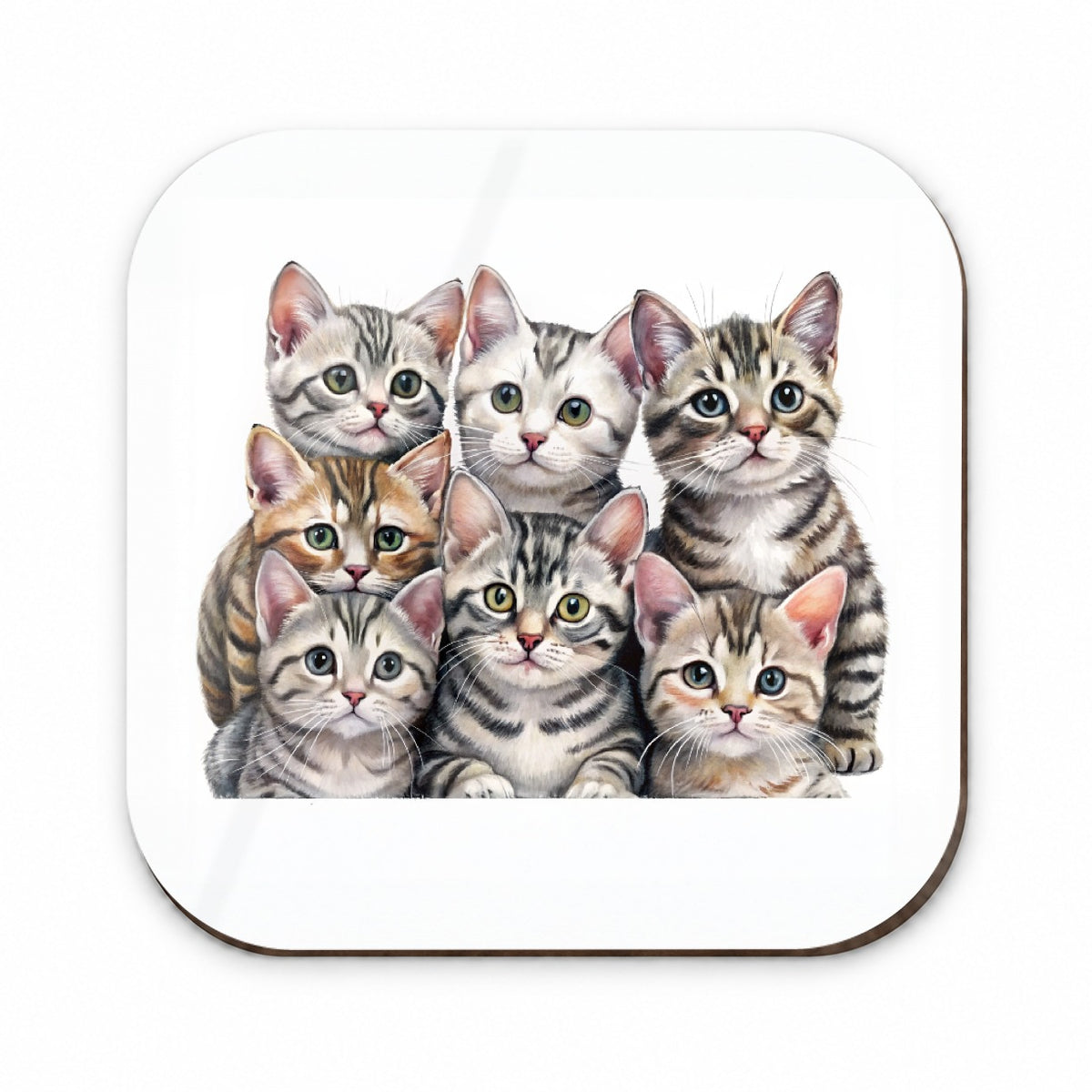 Sweet American Shorthair Cats Fridge Magnet