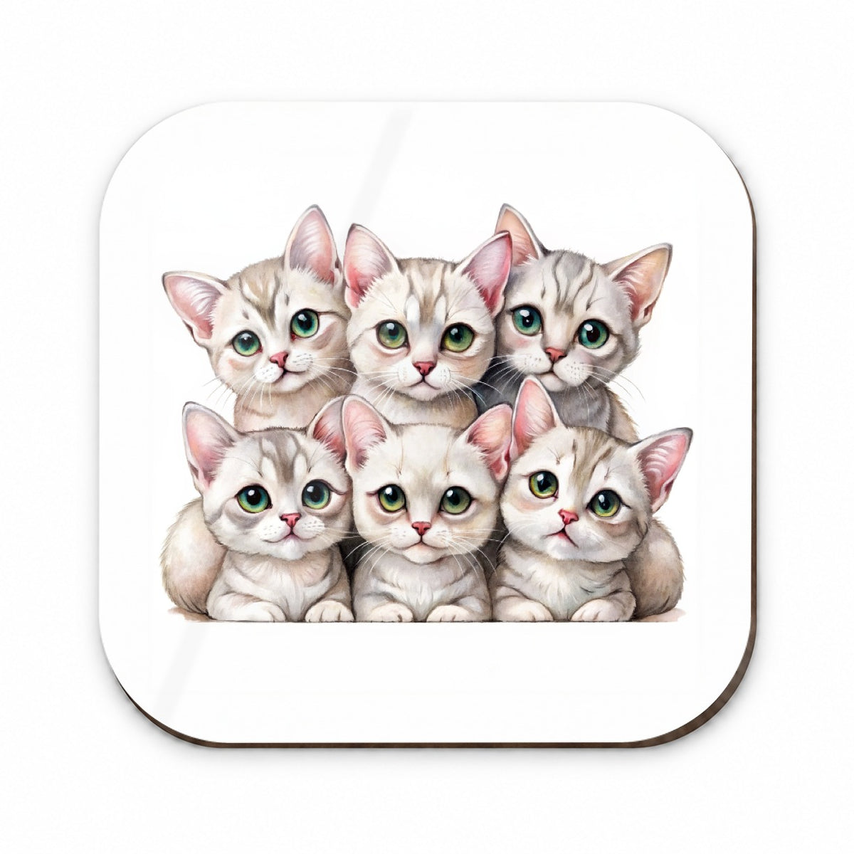 Sweet Burmilla Cats Fridge Magnet