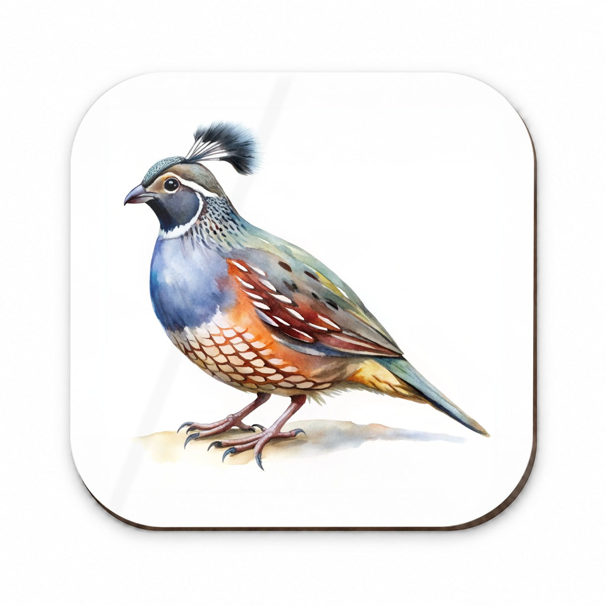 Quail Watercolor Fridge Magnet