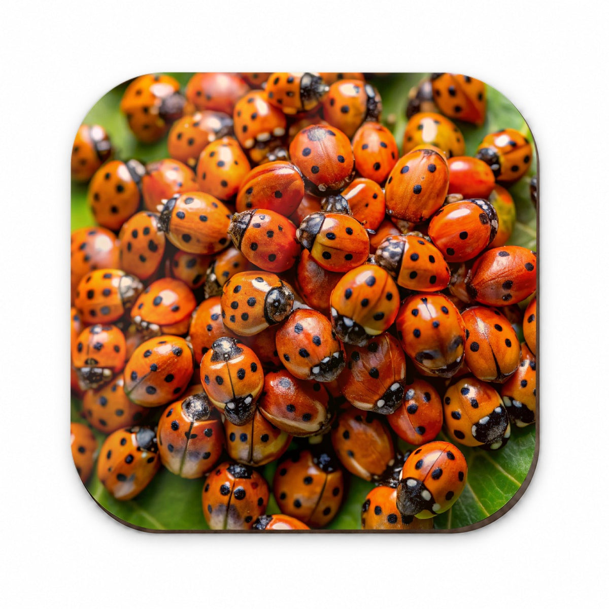 Close-Up Of Ladybugs Covering Leaf Fridge Magnet