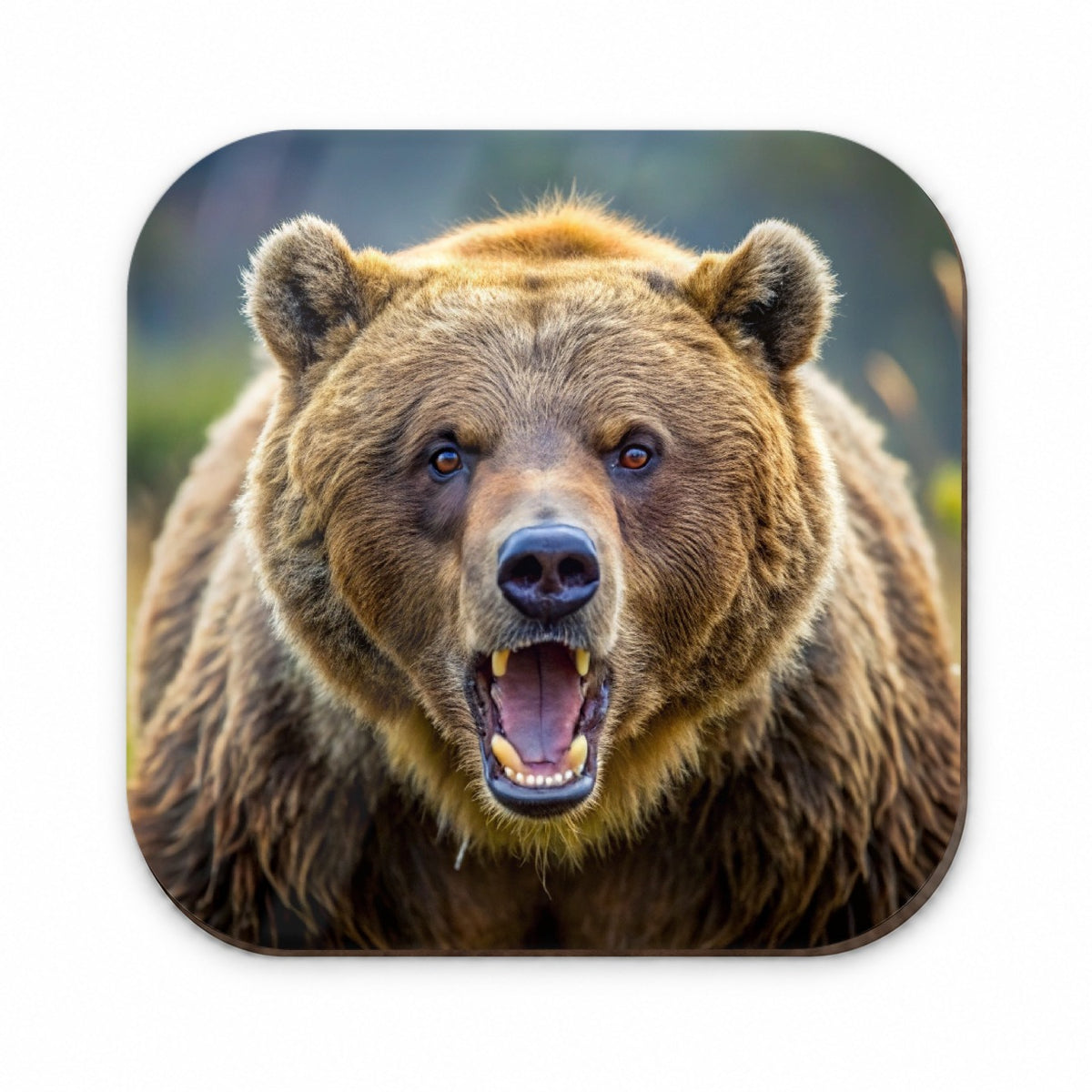Angry Grizzly Bear Charging Fridge Magnet