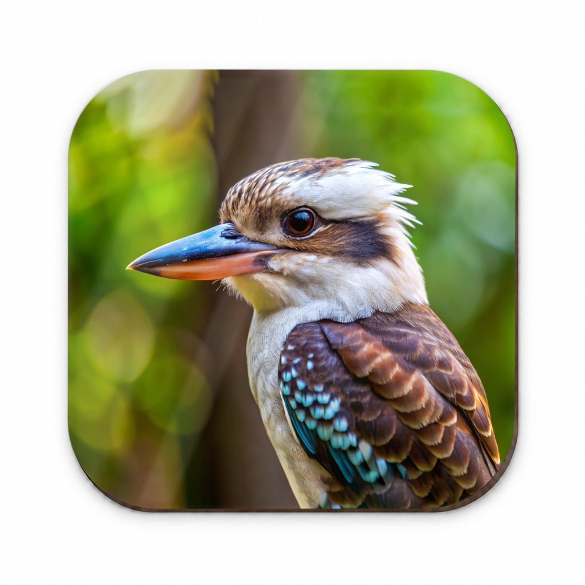 Australian Kookaburra Bird Fridge Magnet