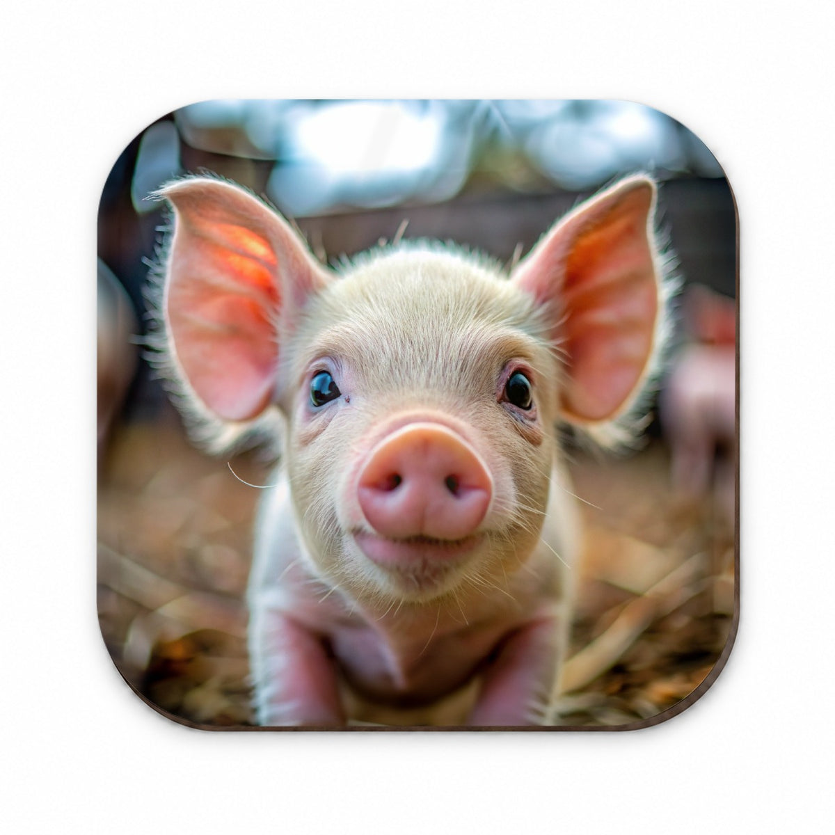 Baby Pig Face Fridge Magnet