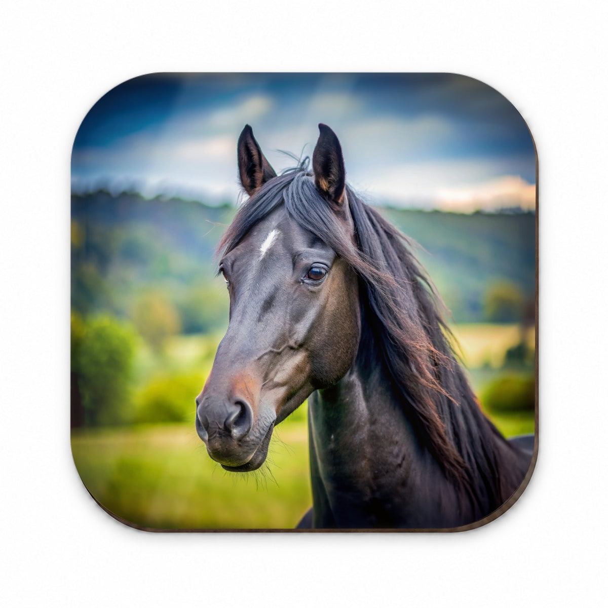 Black Horse Face Fridge Magnet