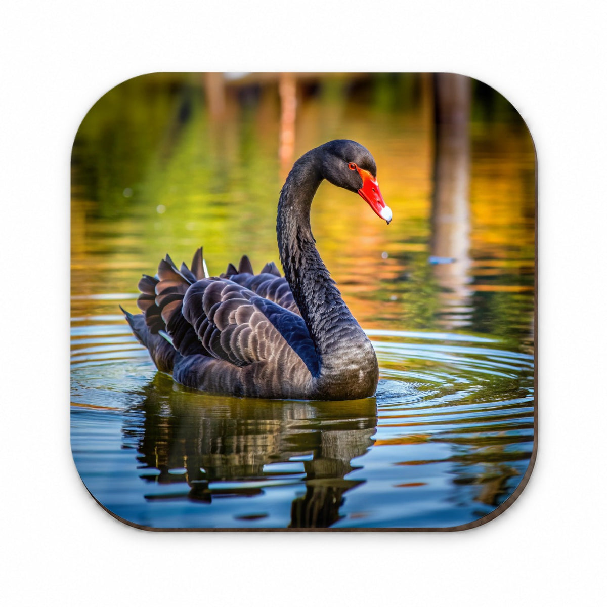Black Swan Fridge Magnet