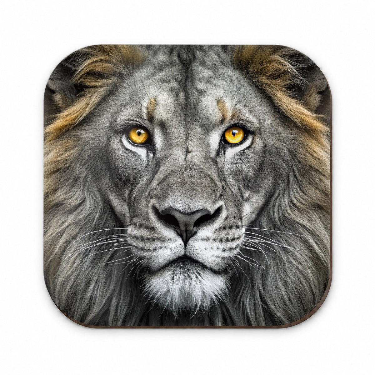 Black White Lion's Face with Gold Eyes Fridge Magnet