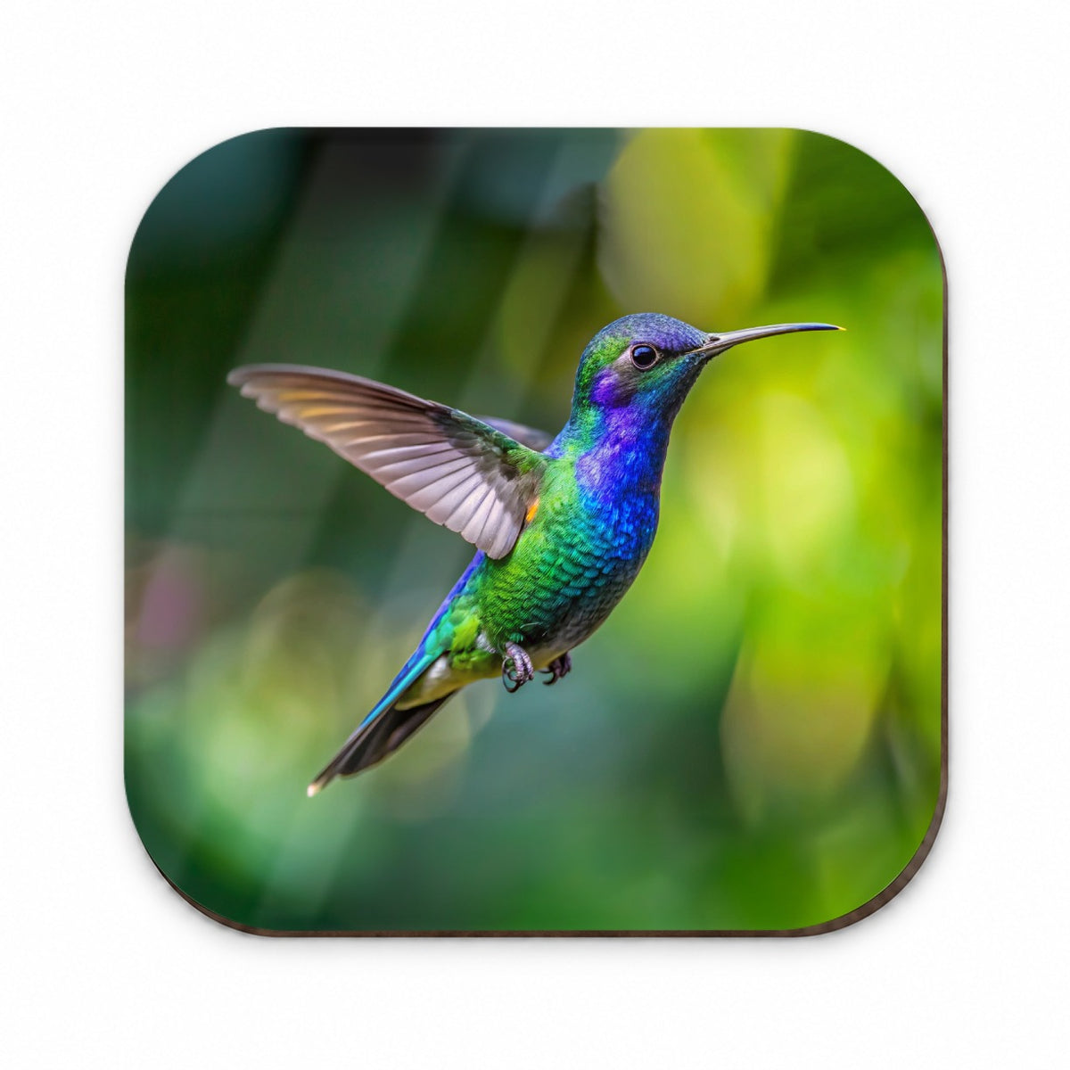 Blue Chinned Sapphire Hummingbird Backyard Bird Fridge Magnet