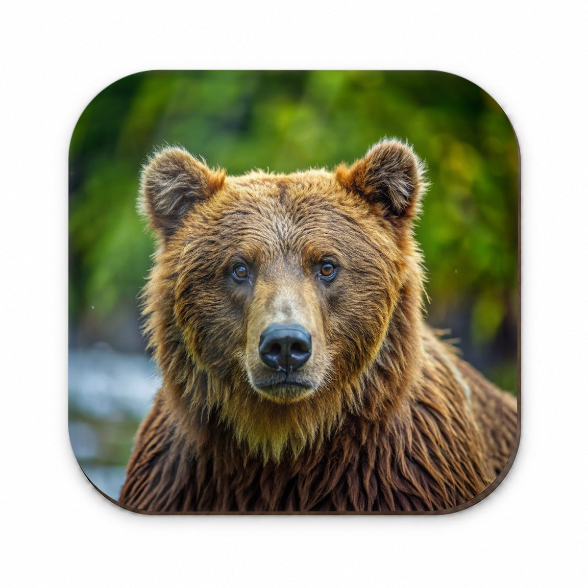 Brown Bear Fridge Magnet