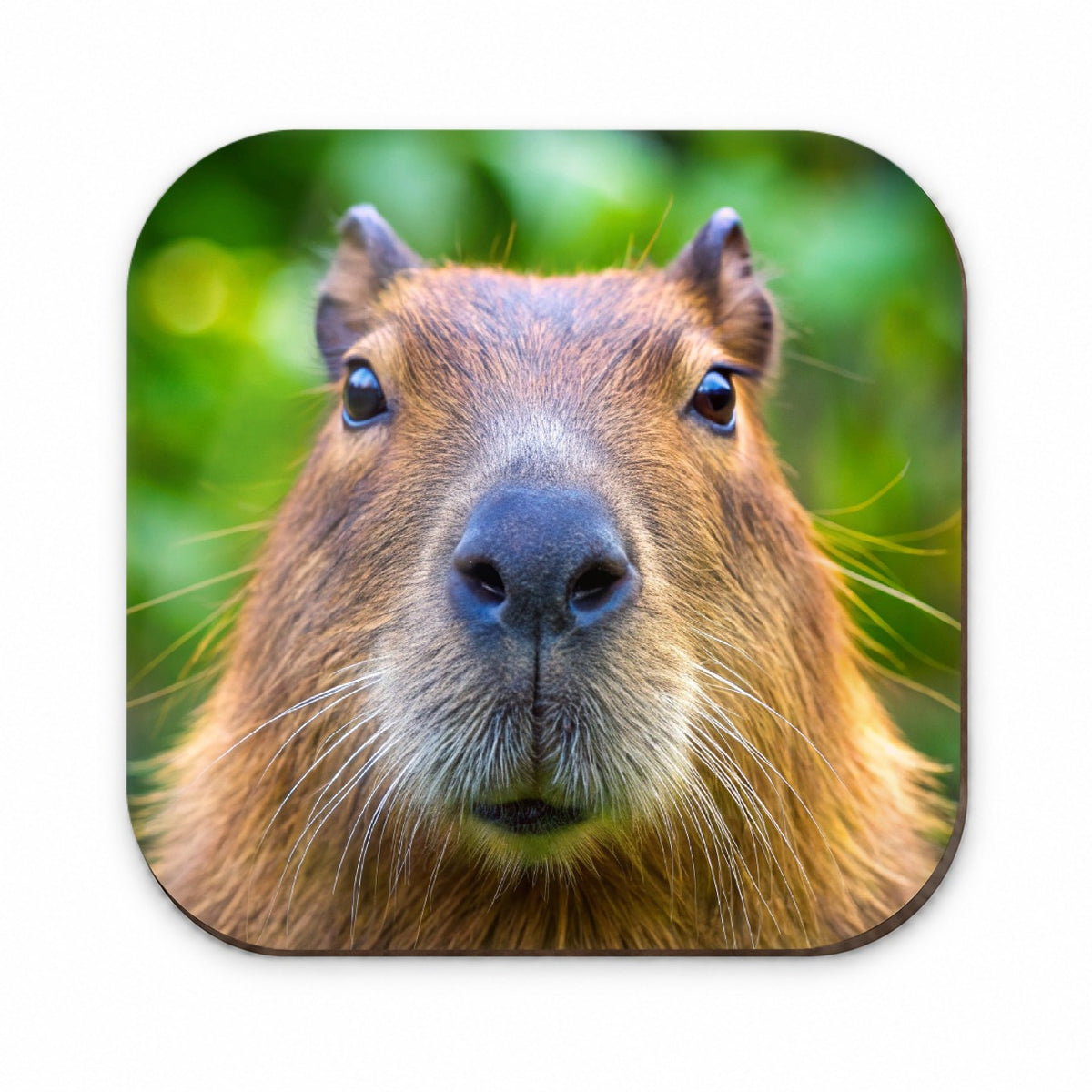 Capybara Face Fridge Magnet