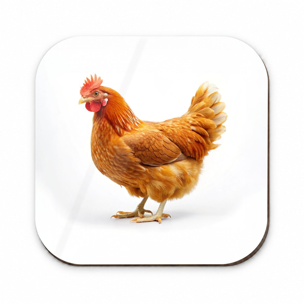 Chicken Fridge Magnet