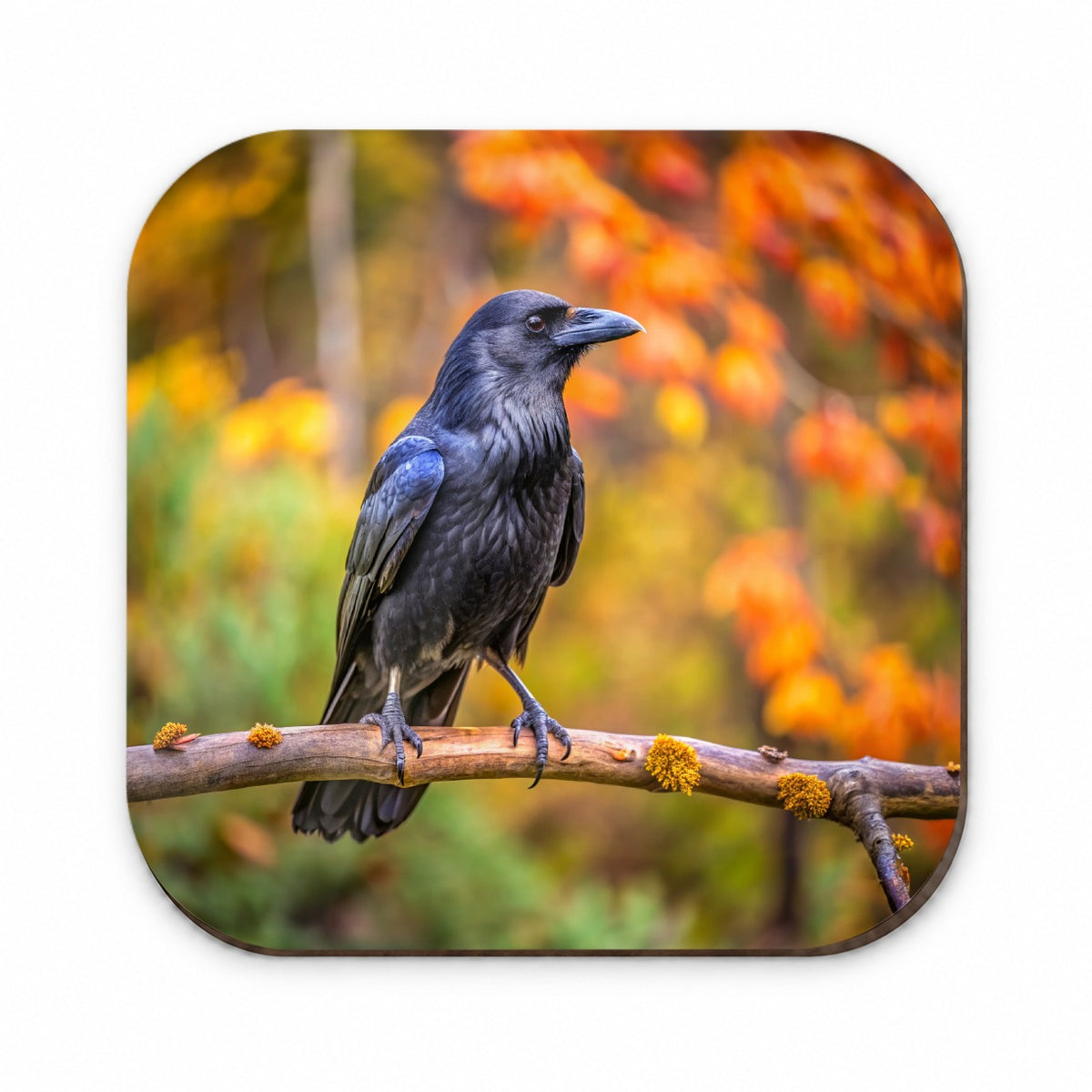 Common Raven Backyard Bird Fridge Magnet