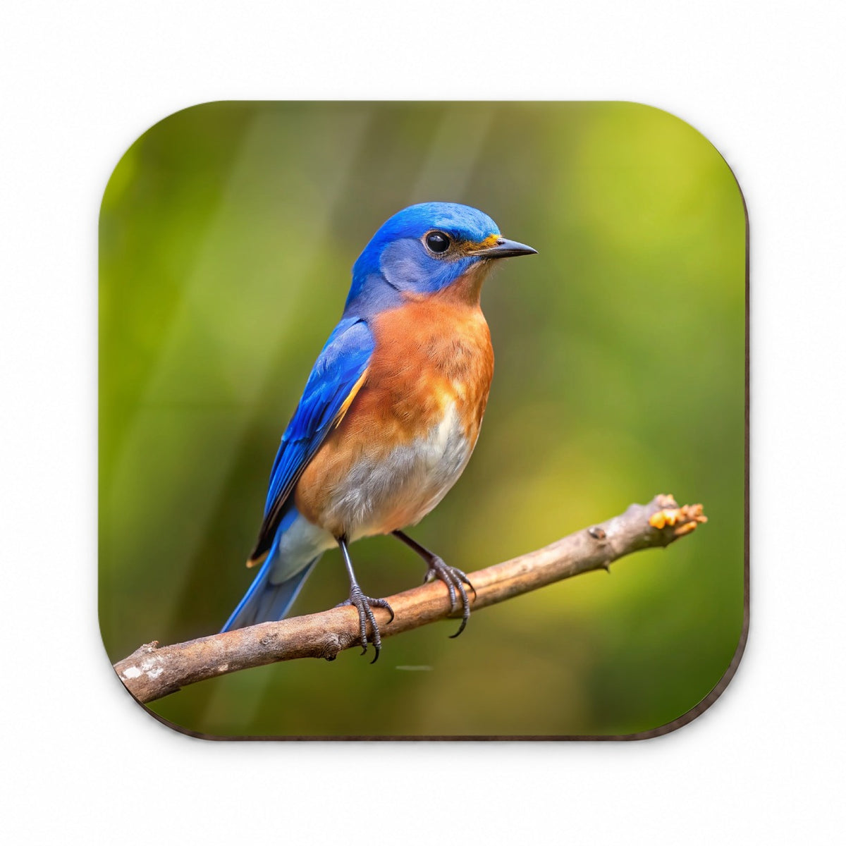 Eastern Bluebird Backyard Bird Fridge Magnet