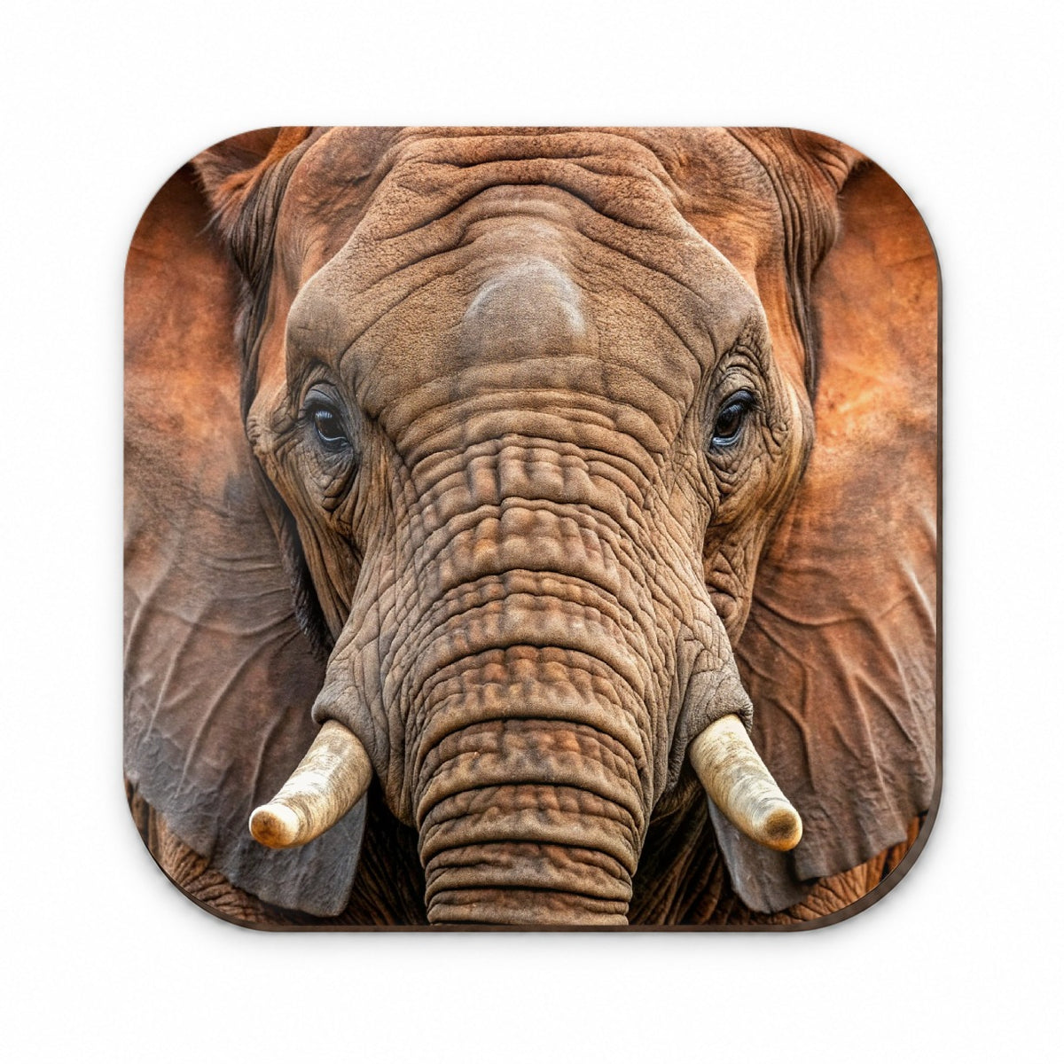Elephant Fridge Magnet