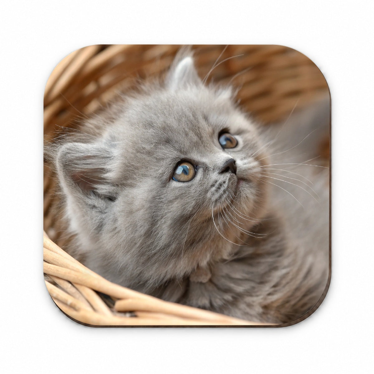 Gray British Longhair Kitten in a Basket Fridge Magnet