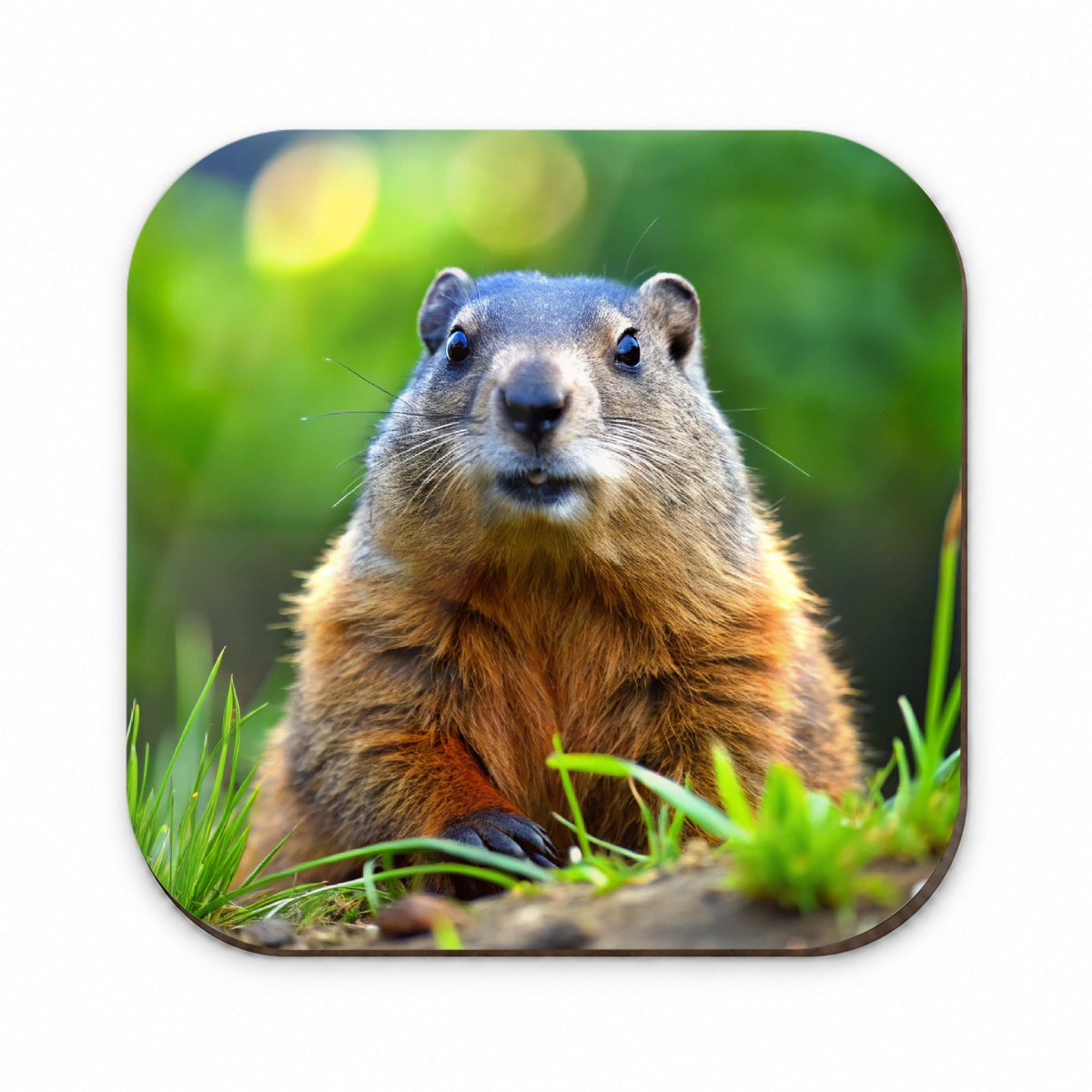 Groundhog Fridge Magnet