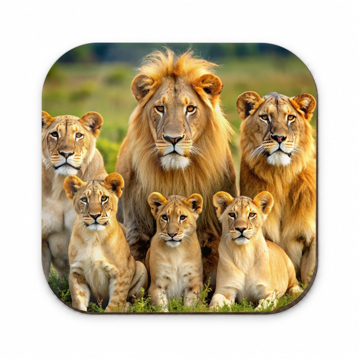 Lion Pride Family Fridge Magnet
