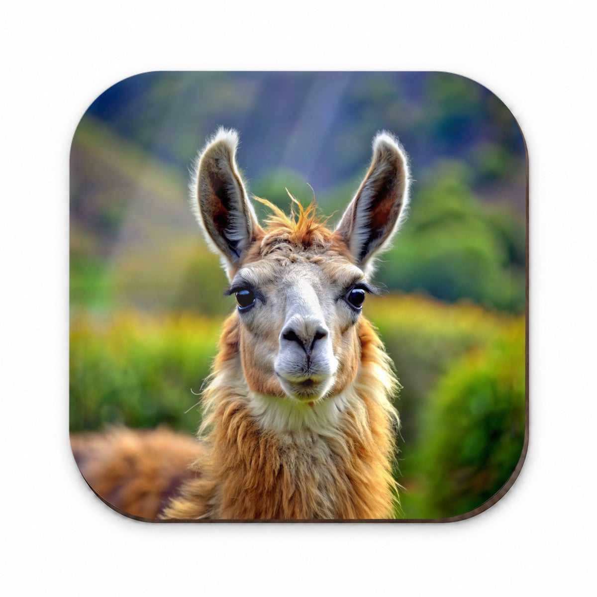 Llama Fridge Magnet