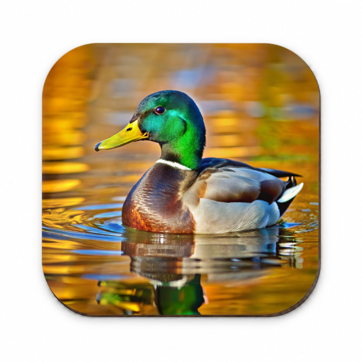 Mallard Duck Fridge Magnet