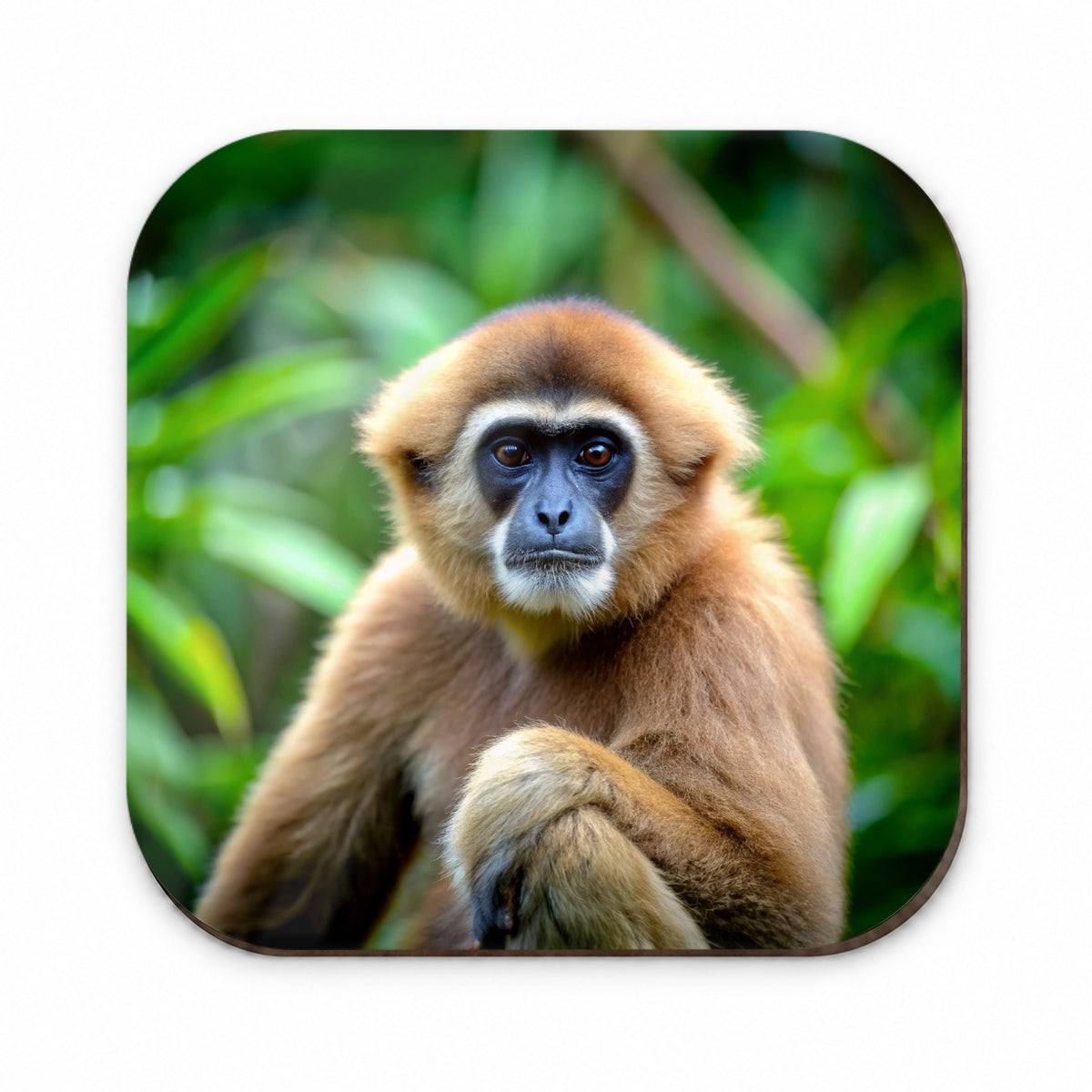 Muller's Gibbon Monkey Fridge Magnet