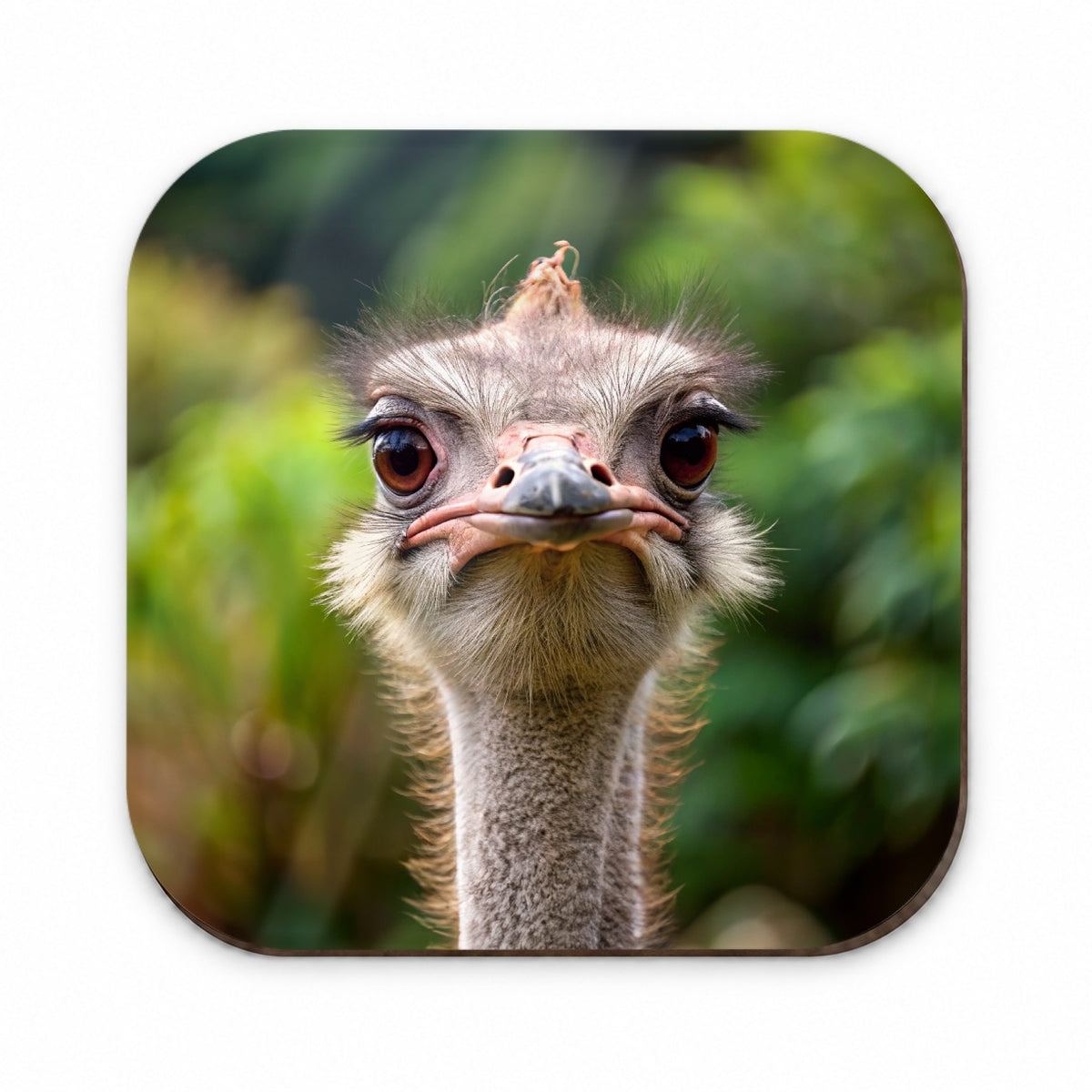 Ostrich Fridge Magnet
